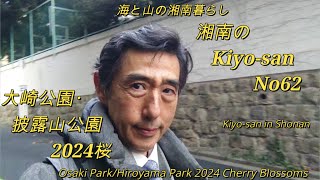 海と山の湘南暮らしNo62　大崎公園・披露山公園2024桜