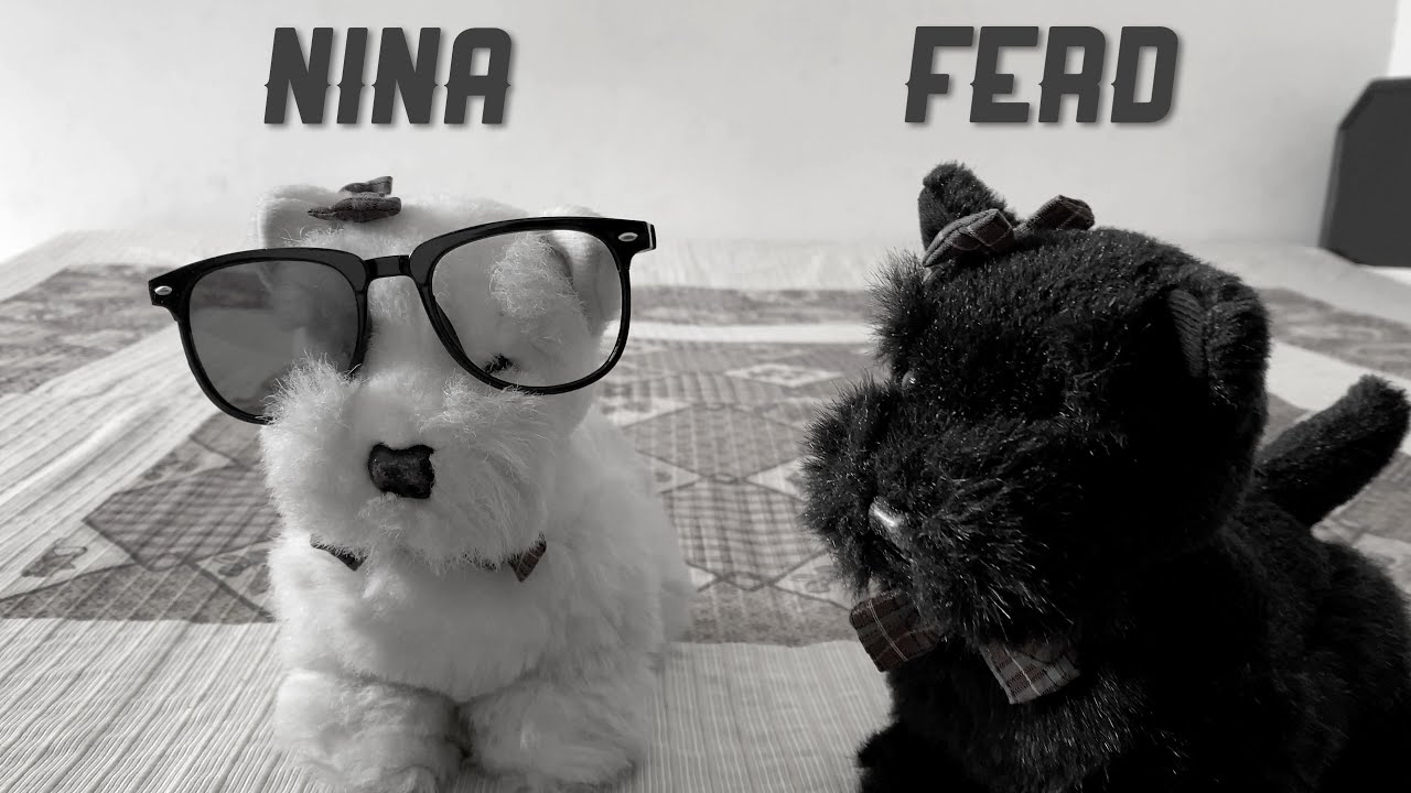 Just Another Vlog Youtube