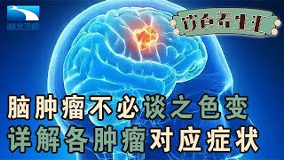 脑肿瘤不必谈之色变,详解各种肿瘤对应症状,视觉听觉问题有可能是它们惹的祸【饮食养生汇】