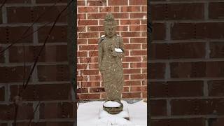 Buddha - ❄️ Texas