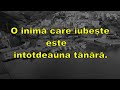 proverbe grecesti din intelepciunea poporului grec