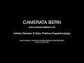 camerata bern and patricia kopatchinskaja birds chirping