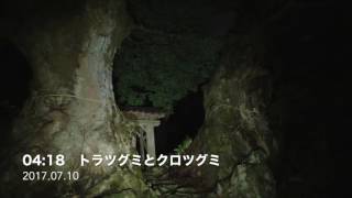 菅山寺 野宿の夜明け前