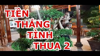 Tiền thắng tình thua 2 - Nữ Hiệp Bến Tre