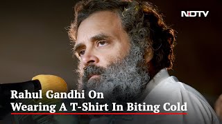 "Won't Wear Sweater Until...": Rahul Gandhi On T-Shirt In Biting Cold