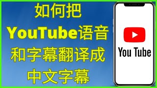 如何把YouTube语音和字幕翻译成中文字幕 (2025)