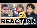 Watching Tom Simons & Tubbo Rob Every YouTuber... | Joey Sings Reacts