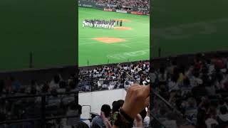 西武優勝！胴上げ