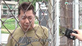 東張西望｜跟進男租客疑於村屋經營自家貓狗繁殖場