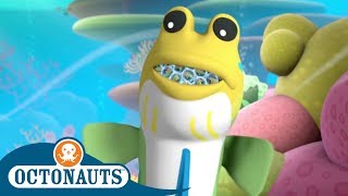 Octonauts - Helping the Mudskipper | Cartoons for Kids