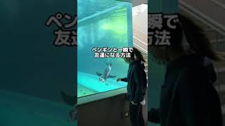 ペンギンを呼ぶ方法が斬新すぎたw