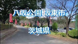 【散策】八坂公園 サイクリング 坂東市