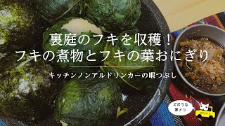 【KND】裏庭のフキを収穫！フキの煮物とフキの葉おにぎり【NO川リバ】Simmered Japanese butterbur and rice ball