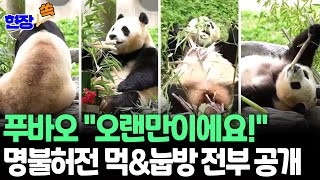 [현장쏙] 푸바오, 두 달 만에 '무아지경' 대나무 먹방에 눕방까지…'학대' 논란 해소될까? / 연합뉴스TV (YonhapnewsTV)