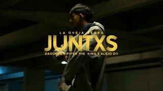 La Oveja Negra - JUNTXS ft. Dasokeii, Piper The King, Alejo Dii (Visualizer)