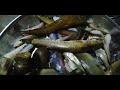 ഇങ്ങനെയും മീൻ പിടിക്കാം fishing video paloor