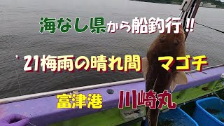 海なし県から船釣行 21梅雨の晴れ間 マゴチ 川崎丸