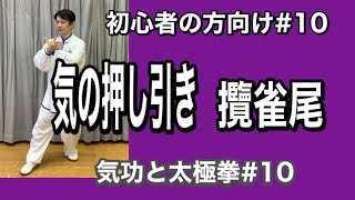 太極拳　気の押し引き　攬雀尾　初心者の方向け気功と太極拳＃１０ 竹内太極拳