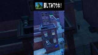 【12/11】見つけられたらすごい！てらごりをさがせ part３ #fortnite #フォートナイト  #shorts #かくれんぼ