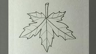 How to draw a leaf for kids || drawing leaf step by step || drawing || art video.