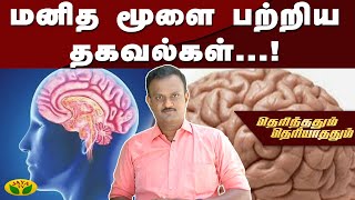 மனித மூளை பற்றிய தகவல்கள்...! | Therinthathum Theriyathathum | Kaalai Malar | JayaTv