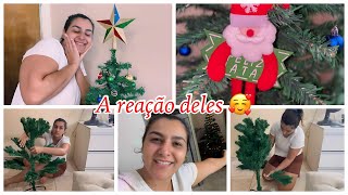 Montei minha árvore de Natal  🎄 🎁