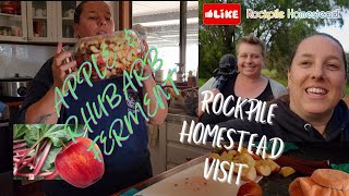 🍎  Apple \u0026 Rhubarb Ferment \u0026 @ROCKPILEOffgridHomestead visits the farm 🐄