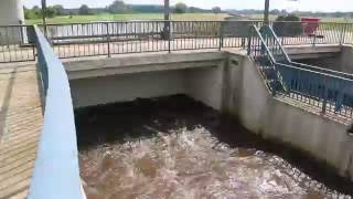 Hochwasser am Hase-Stauwehr zwischen Epe und Puhrenkamp