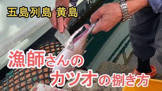 カツオの捌き方。漁師がカツオを捌くとこうなります。五島列島黄島