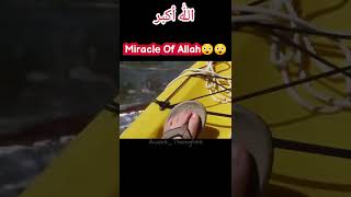 Miracle Of Allah 😲#viral #shorts #miracle
