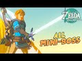 MINI-BOSS MARATHON: Tears of the Kingdom Challenge Series