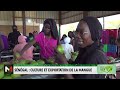 Sénégal : culture et exploitation de la mangue