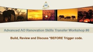 Advanced AO Renovation Skills Transfer Workshop #6 - DB2 Heavy Lifting Part 3