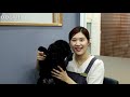 도그미 강아지 치석제거하기 dog grooming