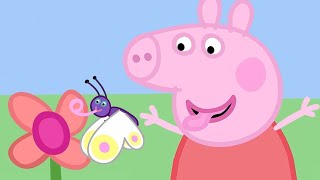 Peppa Malac | Békák, giliszták és pillangók | rajzfilmek