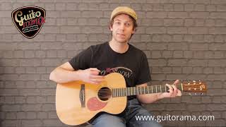 Les BASES du BLUES à la GUITARE: le blues du Cow-Boy | Cours 3 🤠