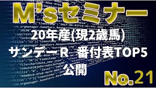 【 20年産サンデーレーシング 】Ｍ'sセミナー(エムズセミナー)　番付表TOP5を公開します!