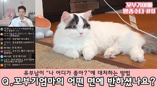 Q. 꼬부기엄마의 어떤 면에 반하셨나요? - 유부남이 \