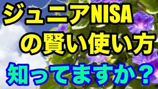 ジュニアNISAの賢い利用方法ご存知ですか？