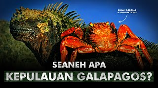 Harta Karun Spesies Paling Tidak Biasa | Kepulauan Galapagos