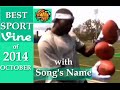 Best Sports Vines Compilation 2014 - October | w/ Song's Name of Beat Drop - NEW Vine Compilation ✔