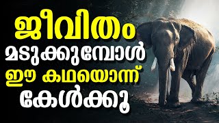 Motivational Story Of An Elephant | Face your Failures | Work Hard | Malayalam Motivational Video