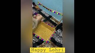 Let’s make Lohri gift hamper | Easy and classy with minimum products #lohricelebration #lohri #gift