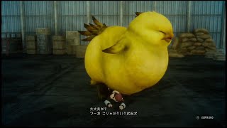 #12【FF15】出たーッ！でぶチョコボだ！！！【はじめてのFINAL FANTASY】