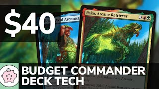 Haldan \u0026 Pako | Budget Commander Deck Tech $40 | Theft | EDH | MTG | Commander