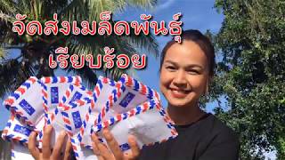 จัดส่งเมล็ดพันธ์ุผักให้เรียบร้อยแล้วคะ รอรับนะคะ : I am shufu