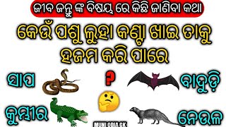 କେଉଁ ପଶୁ ଲୁହା କଣ୍ଟା ଖାଇ ମଧ୍ୟ ତାକୁ ହଜମ କରି ପାରେ ? ସାଧାରଣ ଜ୍ଞାନ।।