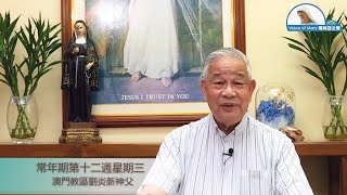 每日聖言分享 【常年期第十二週星期三(瑪 7:15-20)】 澳門教區劉炎新神父