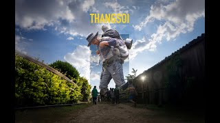 Thangsoi -- A film by Thejavikho Chase