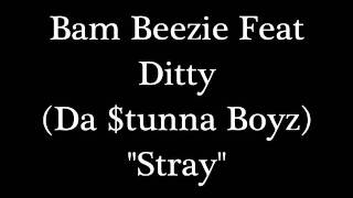 Bam Beezie Feat Dumb Ditty = Stray